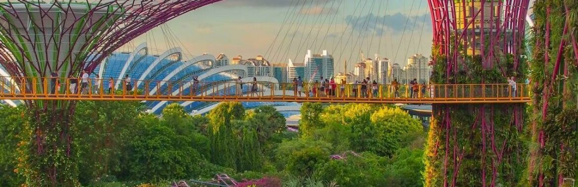 Bali — the new Hong Kong?